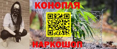 дмт Новозыбков