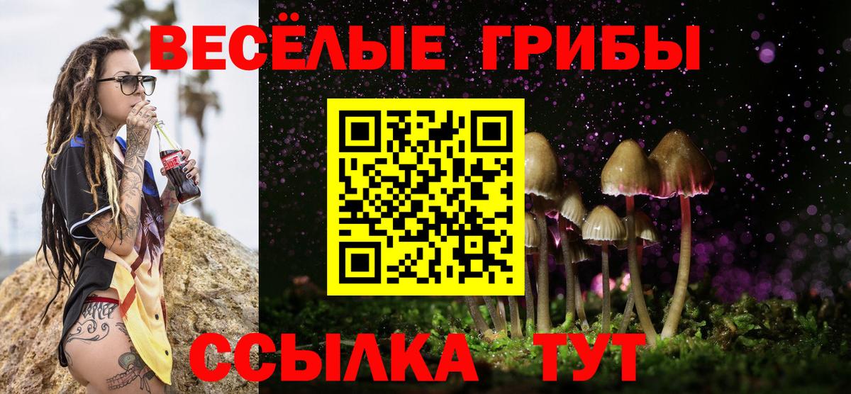 Псилоцибиновые грибы Psilocybine cubensis  Галлюциногенные грибы GOLDEN TEACHER  Спасск-Дальний  Вход с VPN 